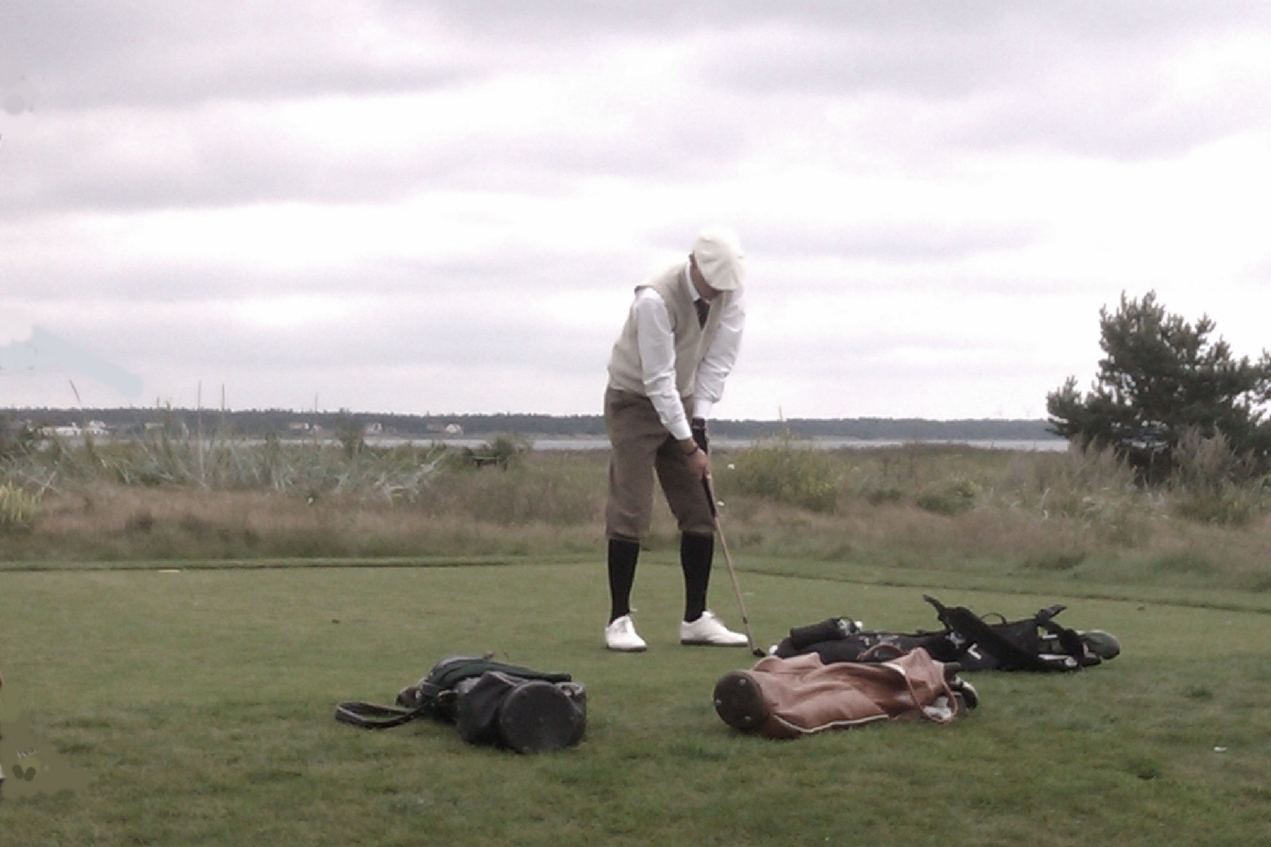 Svenska Hickorymästerskapen 2011